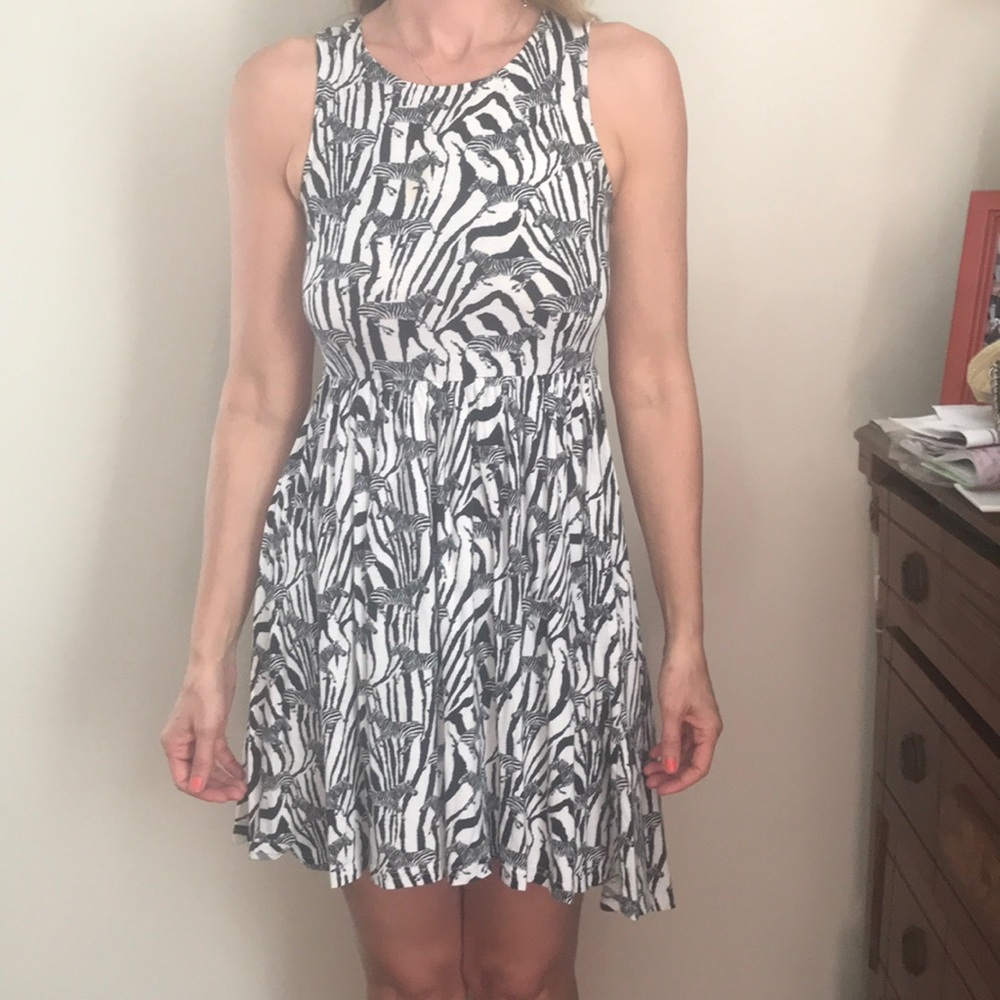 Zebra Dress Small